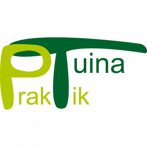 Tuina Praktik Logo